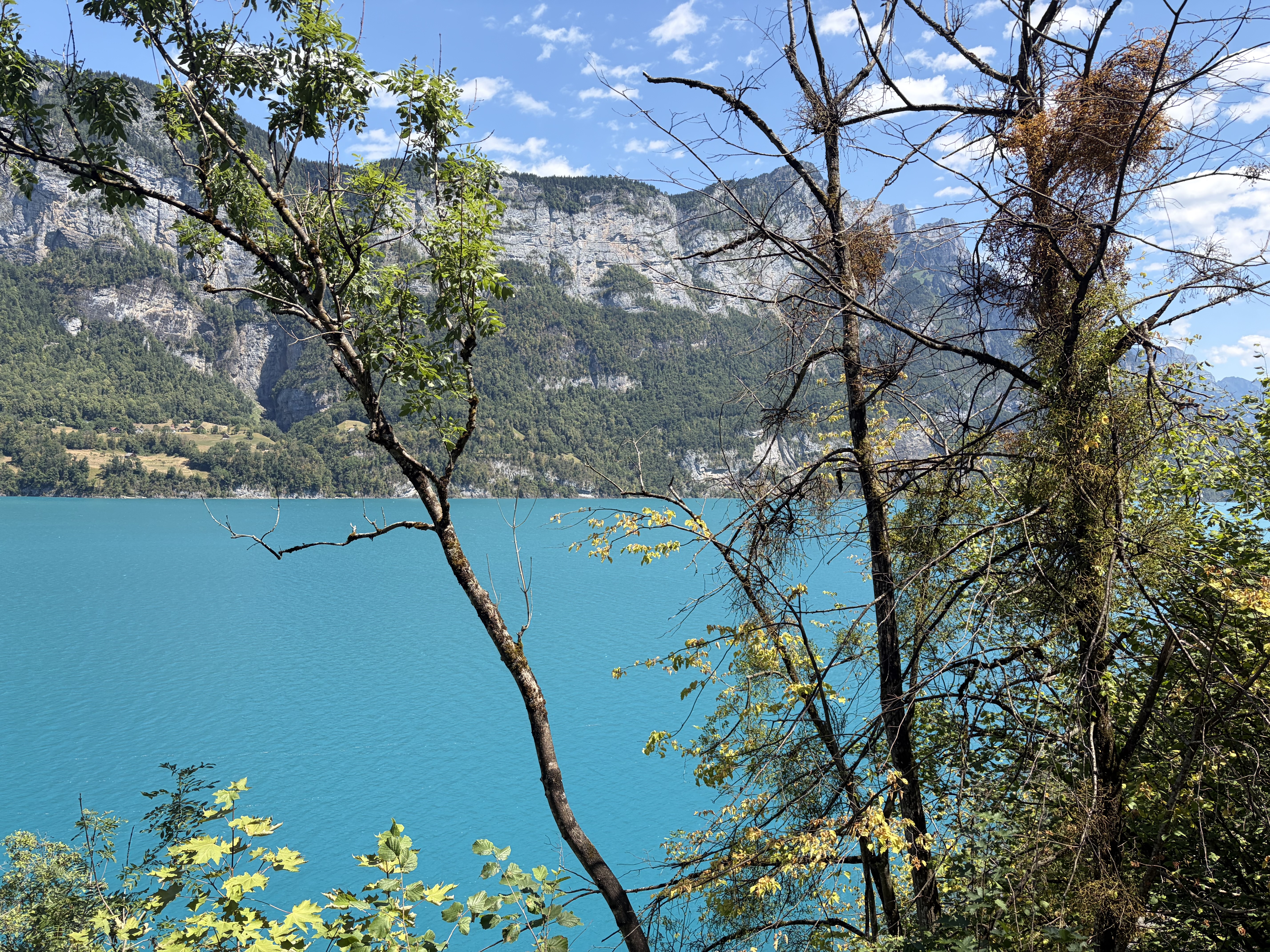 Schweiz Reisefoto 2026 - Foto 7